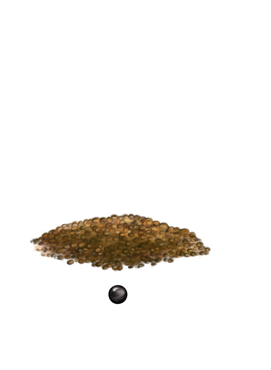 Посев