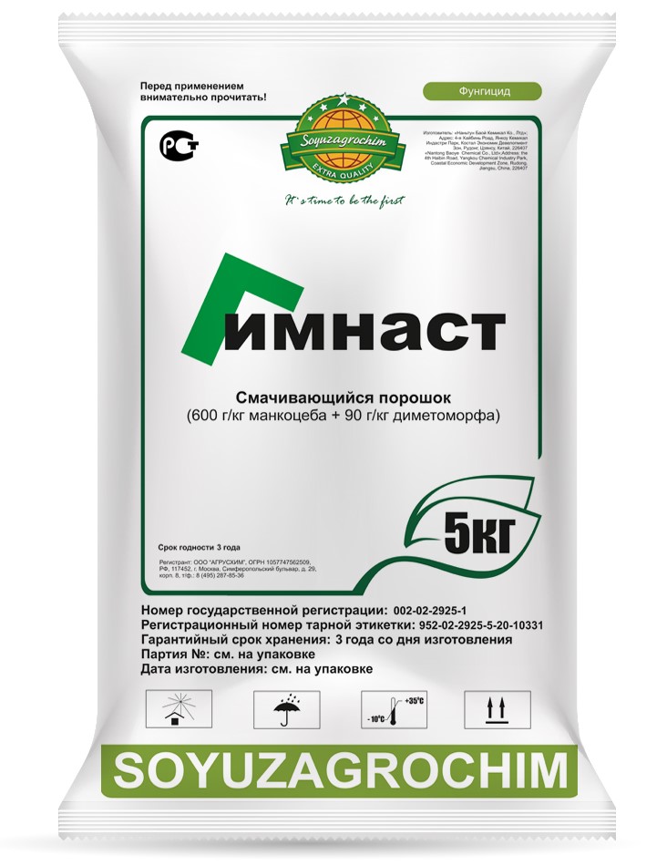 Гимнаст, СП