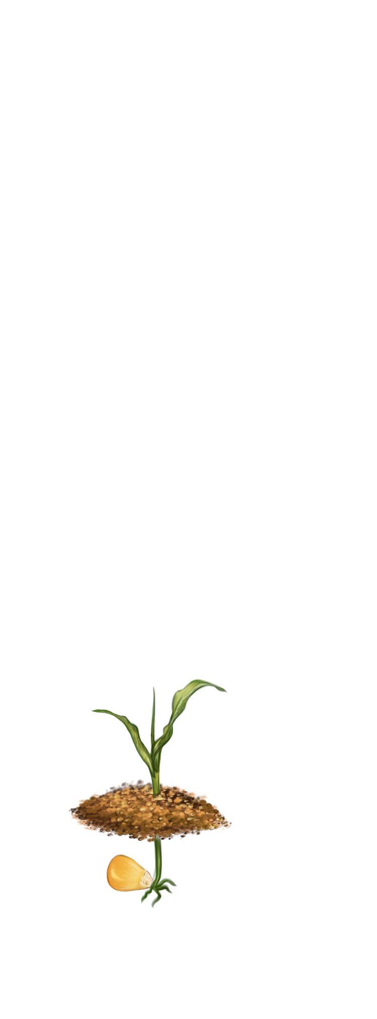 2-й лист