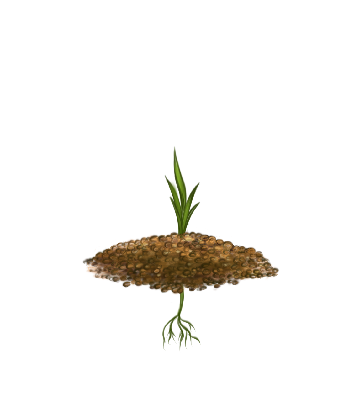 Начало кущения