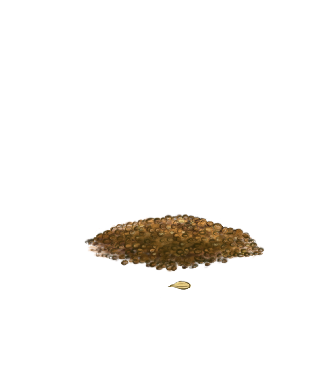 Посев