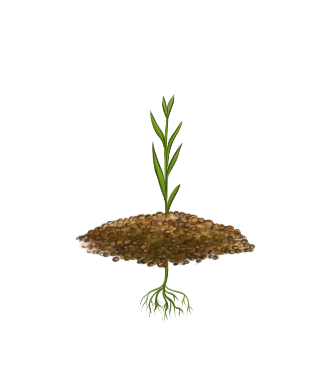Конец кущения