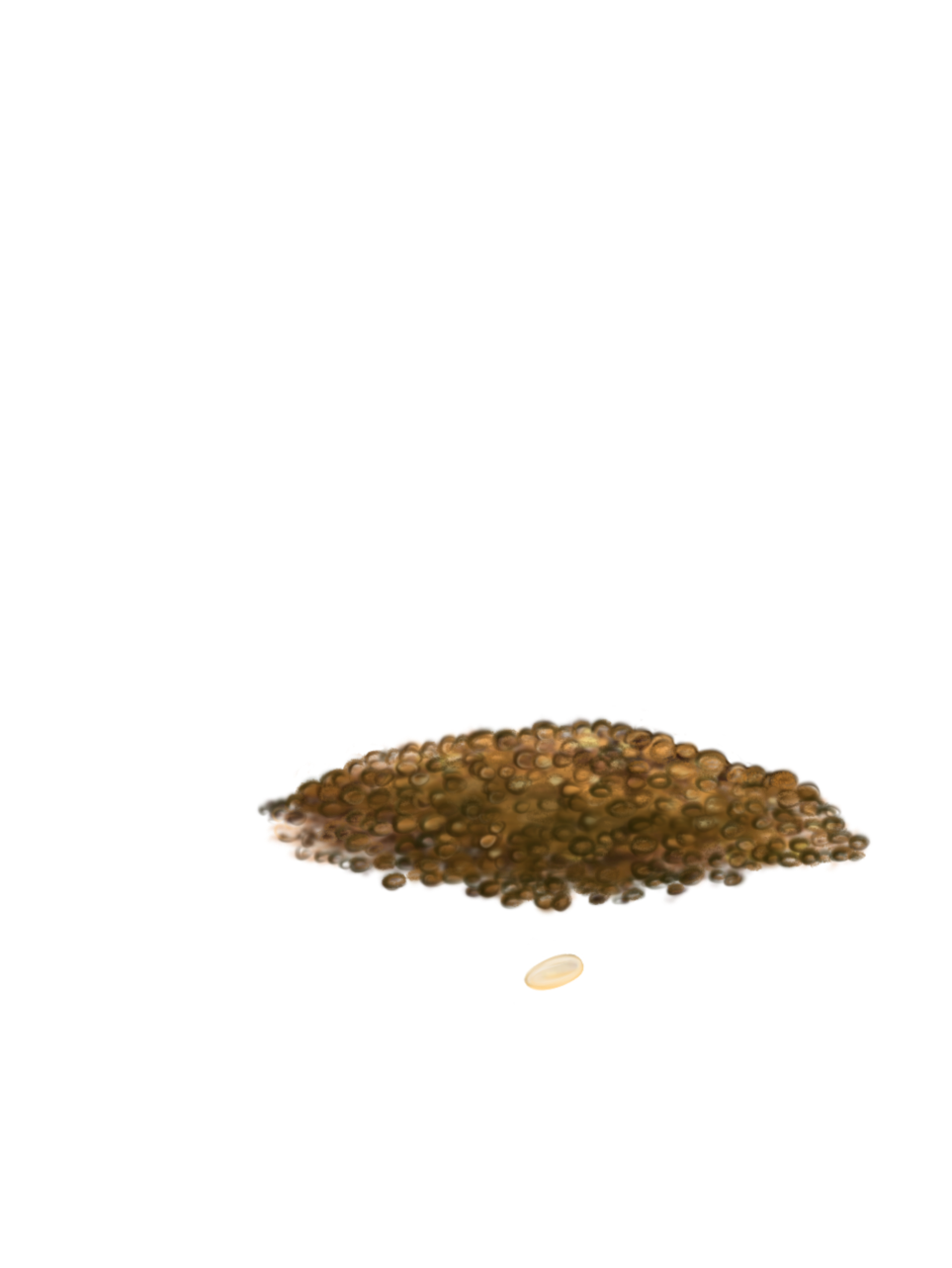 Посев
