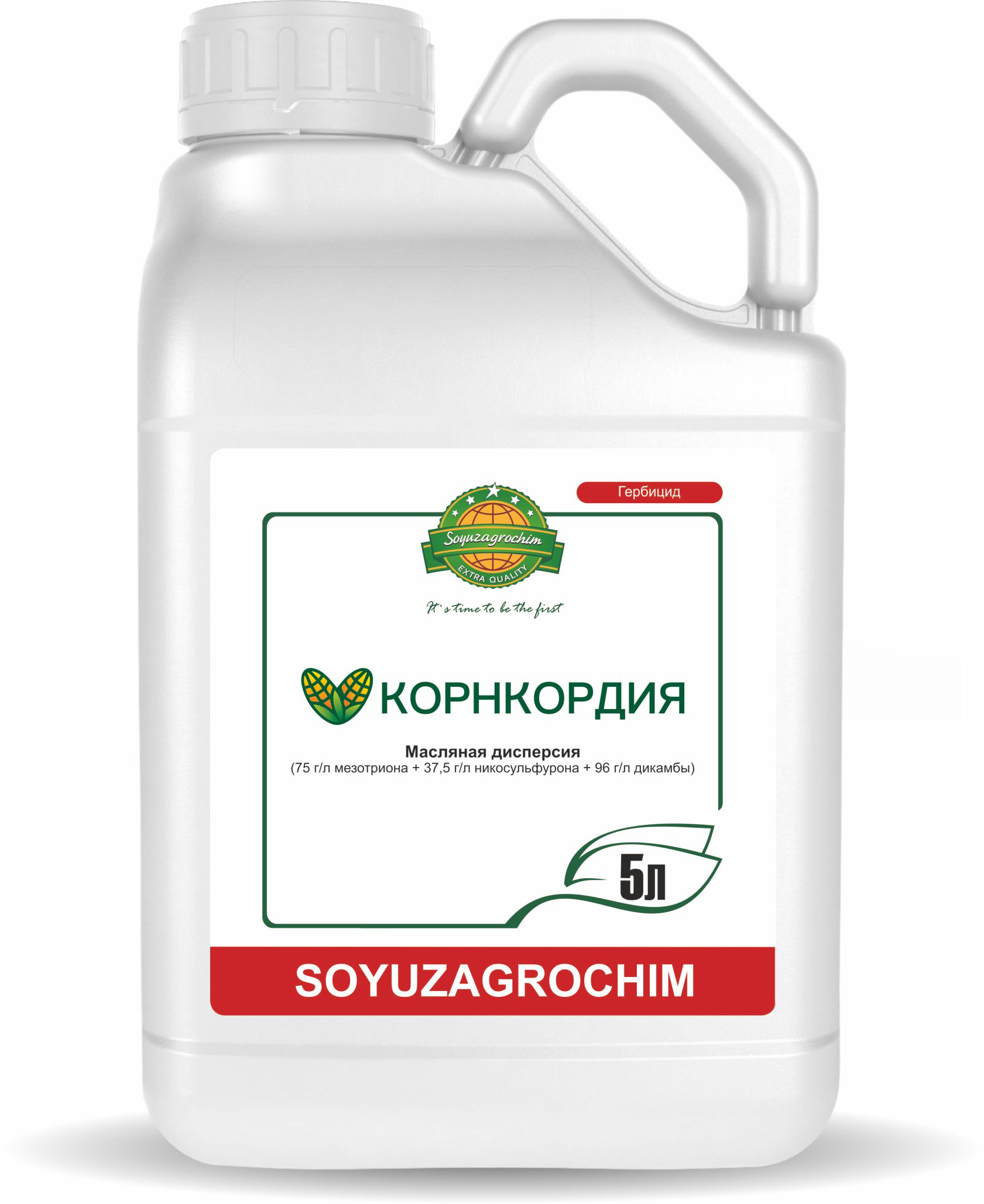 Корнкордия, МД