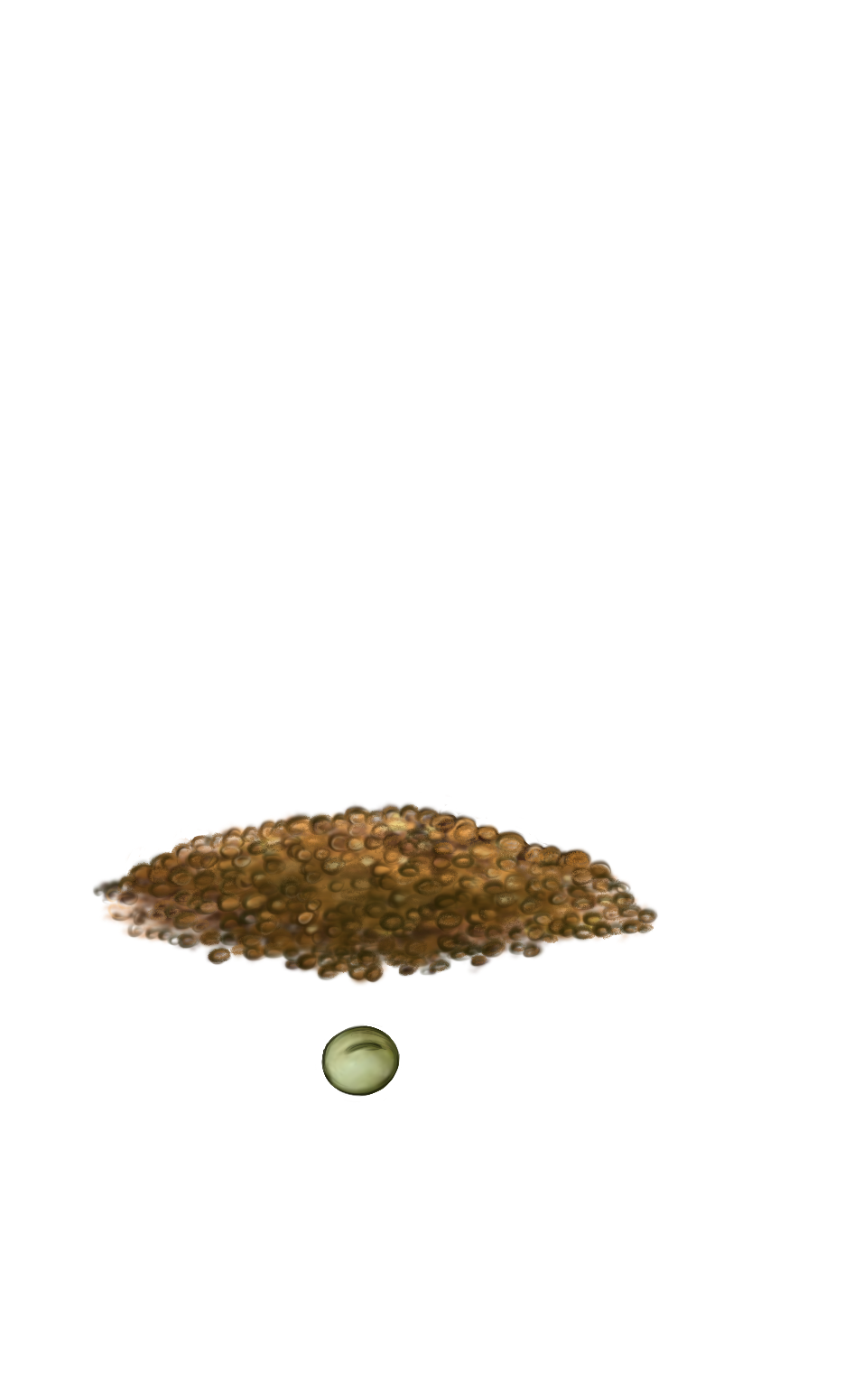Посев