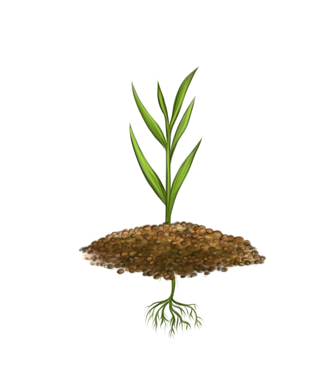 Флаговый лист