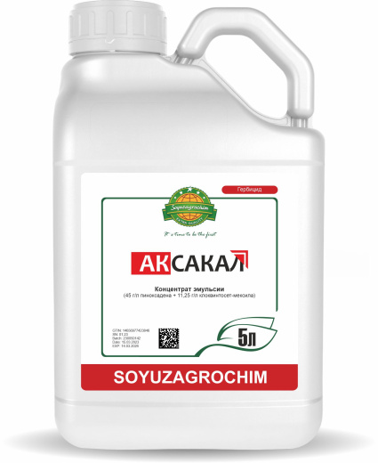 Аксакал, КЭ