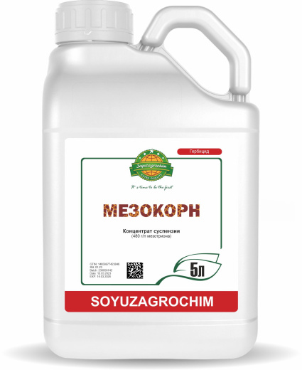 Мезокорн, КС