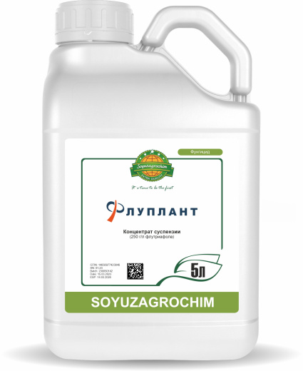 Флуплант, КС