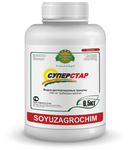 Суперстар, ВДГ