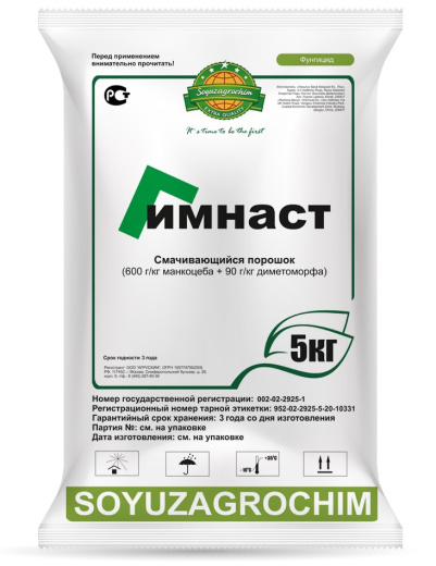 Гимнаст, СП