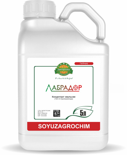 Лабрадор, КЭ