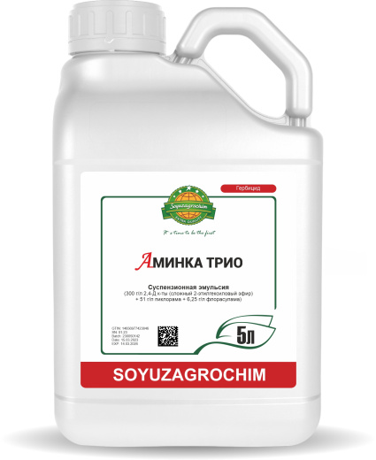 Аминка ТРИО, СЭ