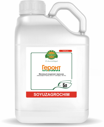 Геронт, МКЭ
