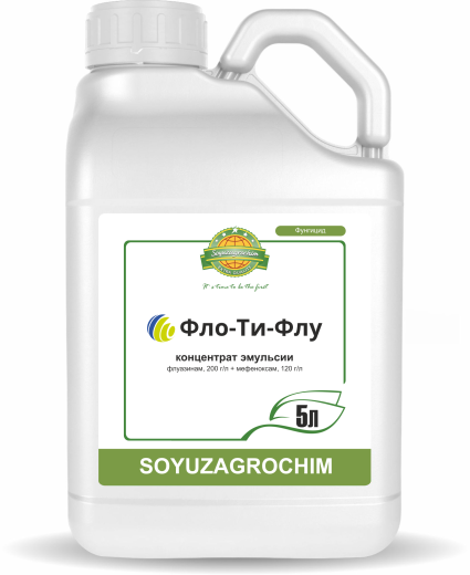 Фло-Ти-Флу, КЭ