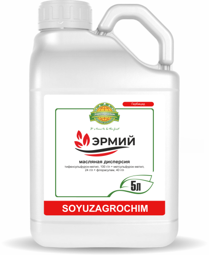 Эрмий, МД