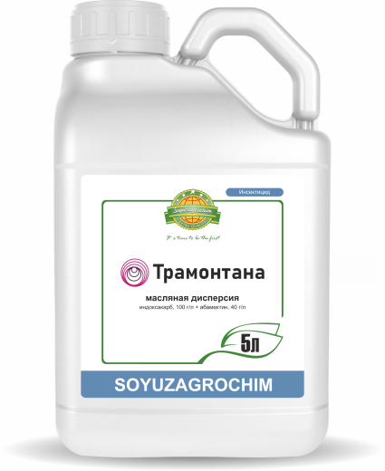 Трамонтана, МД