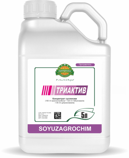 Триактив, КС