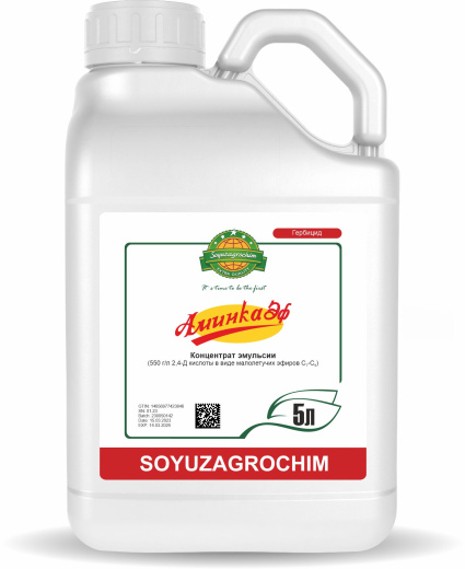 Аминка Эф, КЭ