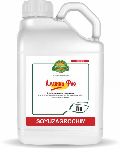 Аминка Фло, СЭ
