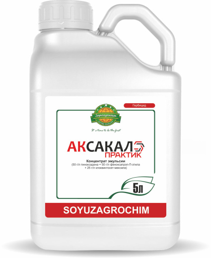 Аксакал Практик, КЭ
