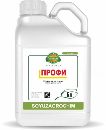 Профи, КЭ