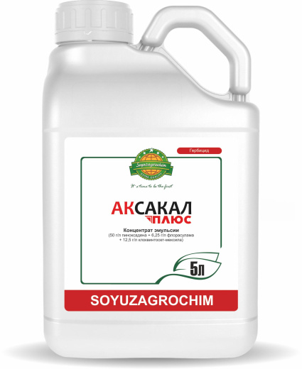 Аксакал Плюс, КЭ